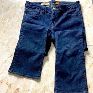 Anthropologie Pilcro and the Letter Press Jeans